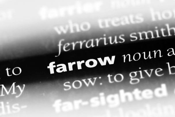 Фароу слово в словаре. Концепция farrow
 - Фото, изображение