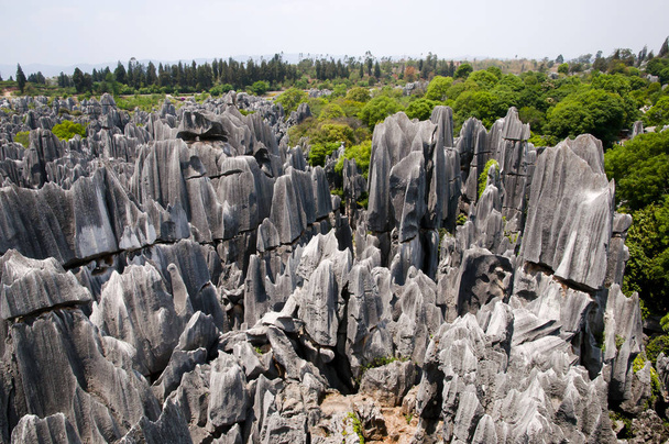 Bosque de piedra Shilin - Kunming - China - Foto, Imagen