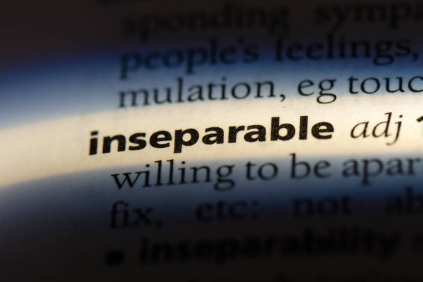 inseparable word in a dictionary. inseparable concept. - Photo, Image
