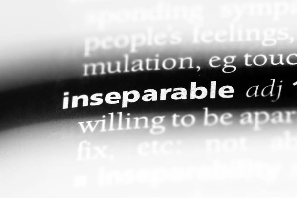 inseparable word in a dictionary. inseparable concept. - Photo, Image