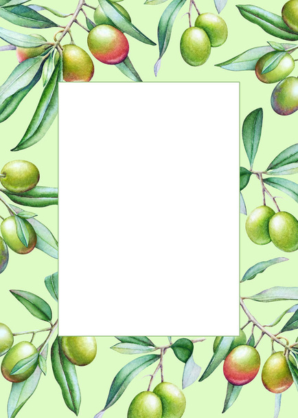 Card template with watercolor olive tree branches with olives and green leaves on green background. - Fotografie, Obrázek