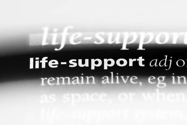 leven steun woord in een woordenboek. leven steun concept. - Foto, afbeelding