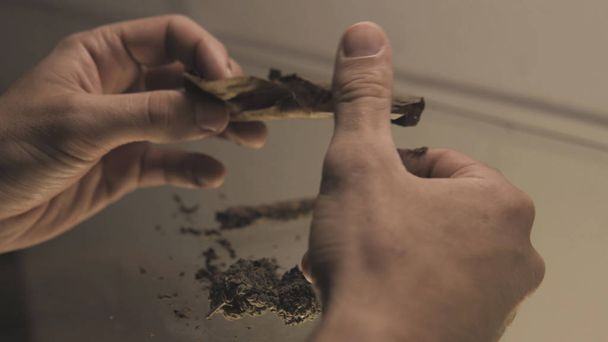 Roll a weed buds blunt in man hands close-up. twisting  jointwith the buds of marijuana inside. - Φωτογραφία, εικόνα