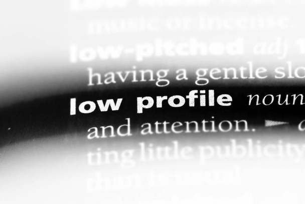low profile word in a dictionary. low profile concept. - Photo, Image