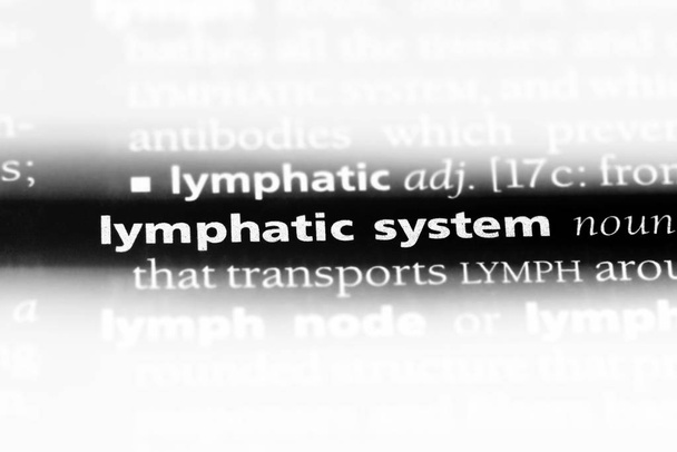 lymphatic system word in a dictionary. lymphatic system concept. - Photo, Image