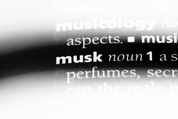 musk word in a dictionary. musk concept. - Photo, Image