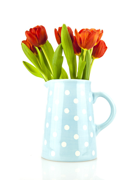 Red tulips in a blue spotted jug on white background - Foto, afbeelding