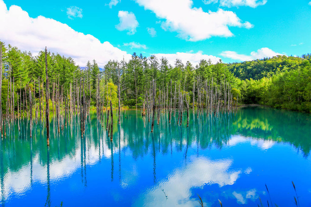 Синій ставок за межами міста гаряча весна Shirogane Onsen названий врешті є глибокого синього кольору, який вона зобов'язана в природних мінералів, розчинений у воді. - Фото, зображення