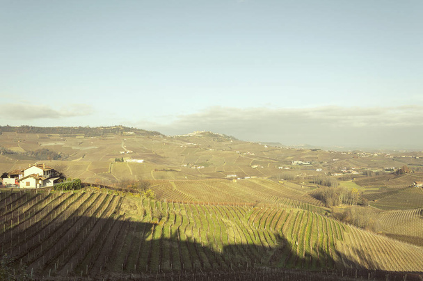 Scenic view of the freshly harvested grape fields in autumn in Barolo valley - Photo, Image