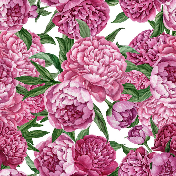 Exquisite and gentle seamless floral pattern with blooming peonies isolated on white background, watercolor hand-painted design. - Foto, Imagem
