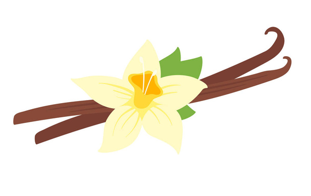  иллюстрация ванильного цветка
 - Вектор,изображение