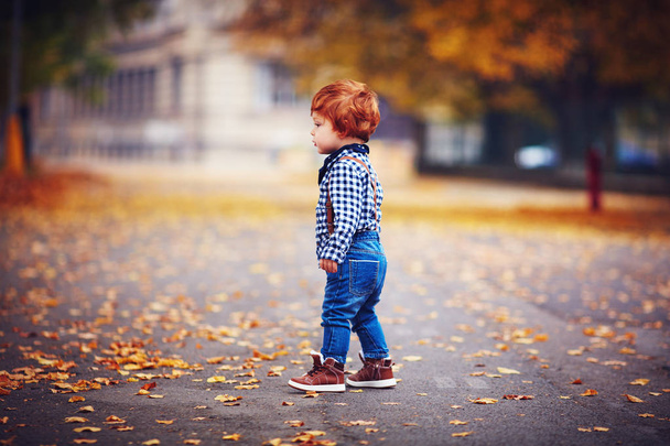 cute redhead toddler baby boy walking among fallen leaves in autumn park - Photo, image