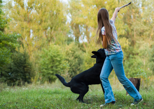 young teenage girl play with a shepherd dog in the park outdoor - Fotografie, Obrázek
