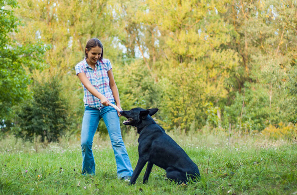 young teenage girl play with a shepherd dog in the park outdoor - Foto, Imagem