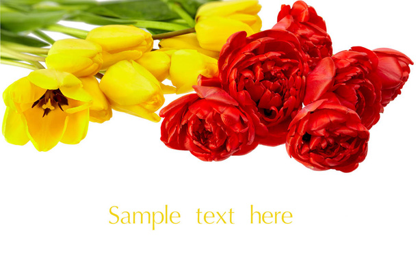 μπουκέτο από φρέσκα ανοιξιάτικα λουλούδια τουλίπας - Φωτογραφία, εικόνα