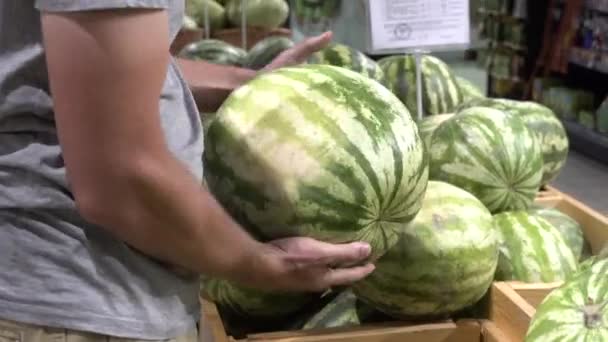 Theme health and natural food. Close-up of a Caucasian mans hand holds, selects a watermelon in a vetrine in a supermarket box. Vegetarian guy buys a green juicy berry - Filmati, video