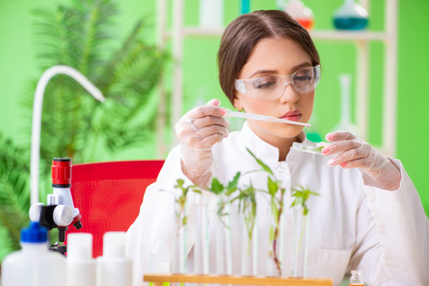 Kaunis naispuolinen biotekniikan tutkija kemisti työskentelee laboratoriossa - Valokuva, kuva
