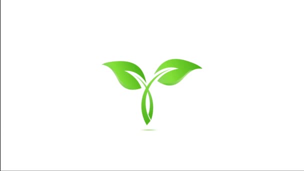 Health Green Leaf. Video Animation - Footage, Video