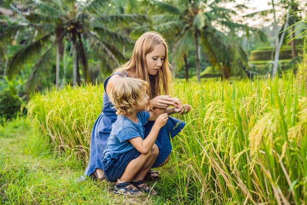 Mom and son looking at plants at lush green rice terraces, Ubud, Bali, Indonesia. - Foto, immagini