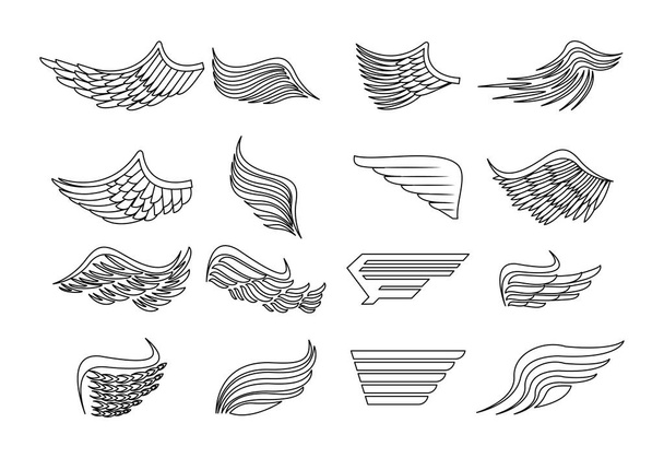 Conjunto de asas emblemas
 - Vetor, Imagem