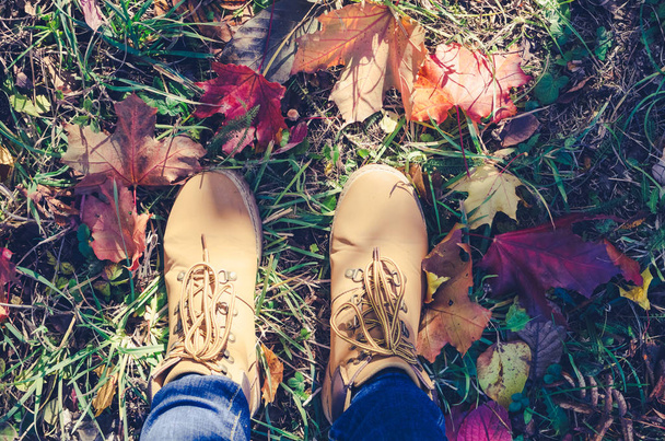Casual unisex boots with colorful autumn fallen leaves. Autumn fall scene. Conceptual image of legs in boots and jeans on the autumn leaves. Lifestyle Fashion trendy style. Top view. Copy space. - Fotografie, Obrázek