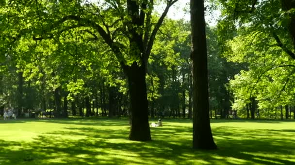 Menschen gehen und entspannen auf dem Rasen im Schatten eines grünen Parks, Kamera in Bewegung - Filmmaterial, Video