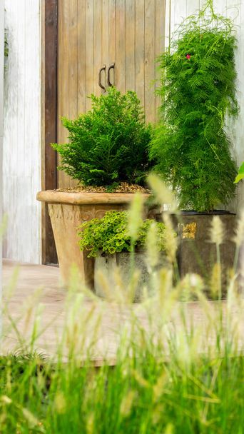 Schoonheid en ontspannende tuin met bloem pot decoratie in gezellige huis bloementuin op zomer. - Foto, afbeelding