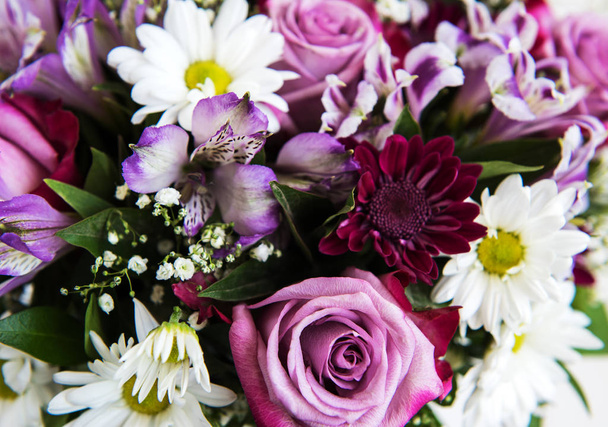 Аромат розовых цветов - розы и маргаритки
  - Фото, изображение