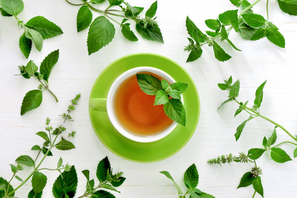 Čerstvý mátový čaj koncept, pohled shora, flatlay - Fotografie, Obrázek