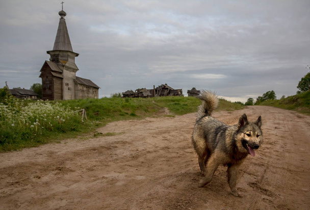 reggel orosz faluban. Novgorod régió. Oroszország - Fotó, kép