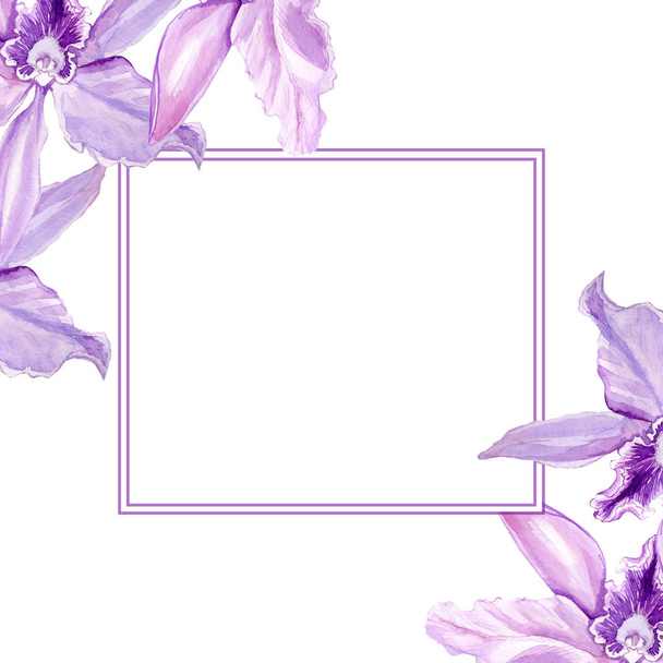 Flower frame, flowers are made with a watercolor. The full name of the flower is an anemone, orchid.  - Foto, Imagem