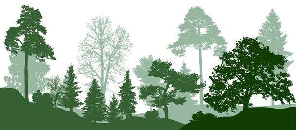 Forest green trees silhouette. Nature, park. Vector background - Vector, Image