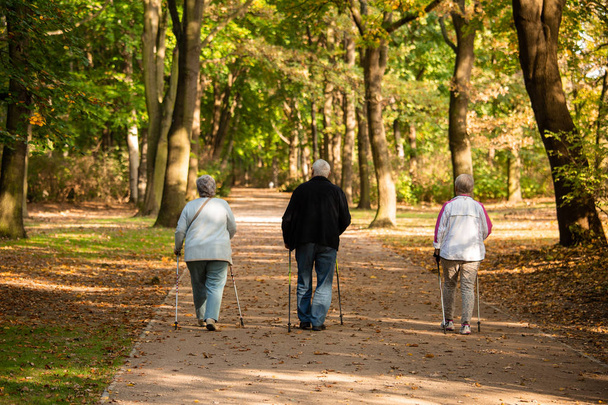 Seniors are engaged in Scandinavian walking  - Foto, Imagen