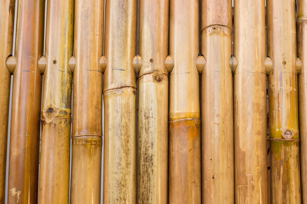Brown sunny bamboo textured fence for background. - Foto, Bild