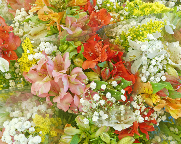 color pálido freesia flores vista superior
 - Foto, imagen
