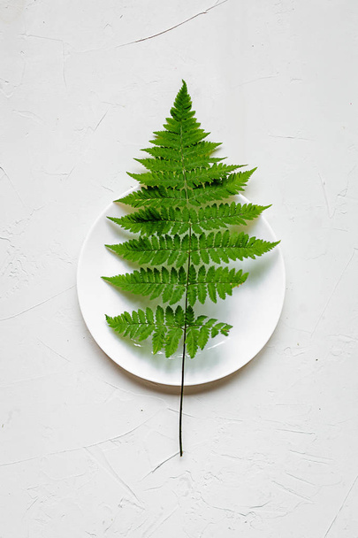 Green leaf of fern on a plate on white concrete background - Photo, image