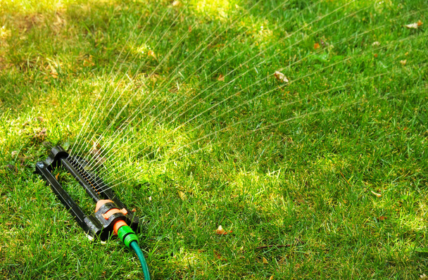Разбрызгиватель лужайки поливает водой зеленую траву. Система орошения. backligh
 - Фото, изображение
