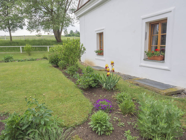 flowerbed van kleurrijke bloemen tegen de gevel van het witte huis met windows op boerderij - Foto, afbeelding