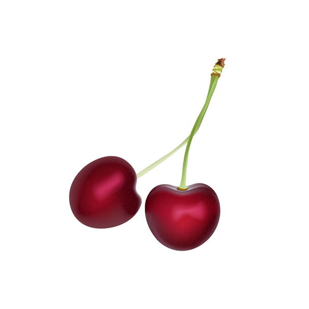Cseresznye valósághű 3d vektoros illusztráció. Érett piros cseresznye bogyók. Részletes 3D-s illusztráció elszigetelt fehér. Web design elem, vagy nyomtassa ki a csomagolás. - Vektor, kép