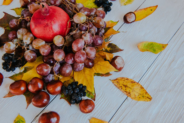 Осенний натюрморт. яблоко, тыква, гранат, вибурнум, листья
. - Фото, изображение