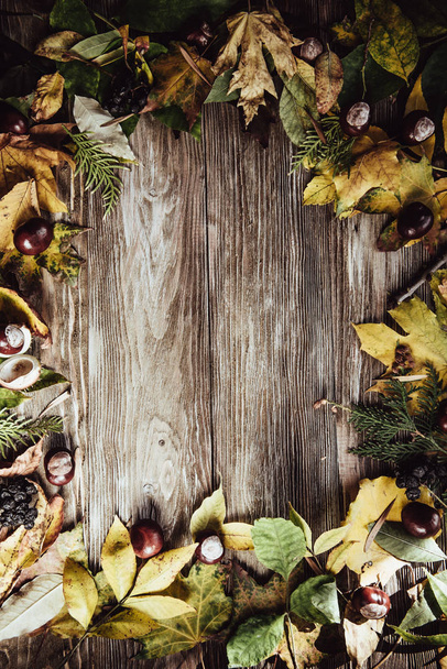 緑と黄色の葉のフラットレイと秋の木製の背景 - 写真・画像
