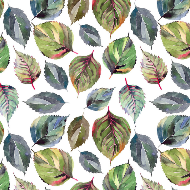 Beautiful lovely cute wonderful graphic bright floral herbal autumn orange green yellow leaves pattern watercolor hand sketch. Perfect for textile, wallpapers, wrapping paper - Foto, Imagem
