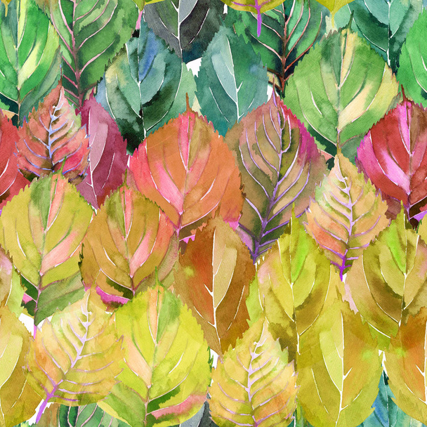 Lovely group of the autumn leaves like rainbow. Graphic bright floral herbal autumn orange yellow leaves pattern watercolor hand sketch. Perfect for textile, wallpapers, wrapping paper - Fotografie, Obrázek