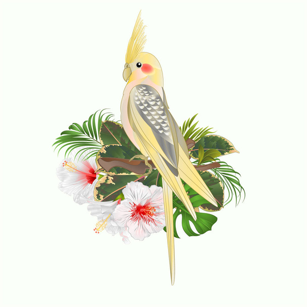 Žlutá Korela roztomilý tropických ptáků legrační papoušek a bílý ibišek akvarel styl na bílém pozadí vintage vektorové ilustrace upravitelné ruční kreslení - Vektor, obrázek