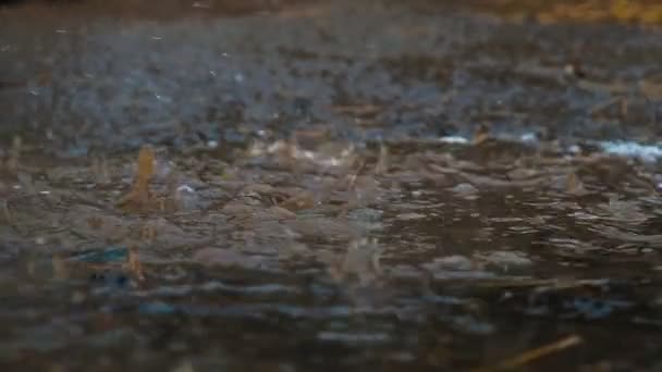 Regentropfen tropfen in eine Pfütze, sprühen aus nächster Nähe.. Starkregen, Zeitlupe - Filmmaterial, Video