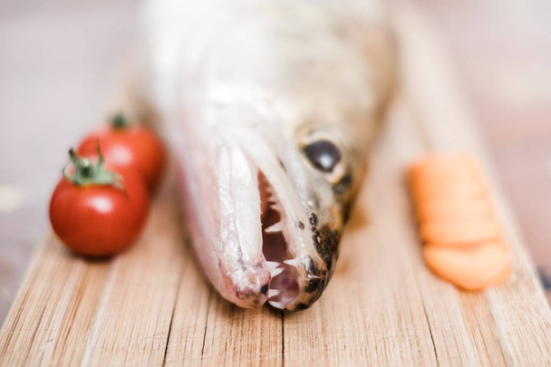 Walleye kala ruoanlaitto, raaka, tuore
 - Valokuva, kuva