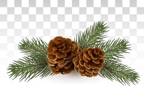 Простая сельская рождественская композиция - ветви елки / кедра и шишек. Изолирована. векторная иллюстрация. Eps 10
. - Вектор,изображение