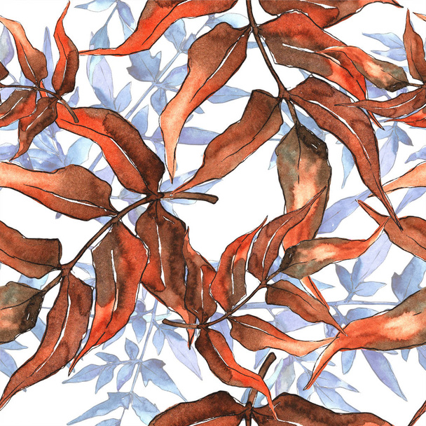 Fern leaves. Leaf brake plant botanical garden floral foliage. Seamless background pattern. Fabric wallpaper print texture. Aquarelle leaf for background, texture, wrapper pattern, frame or border. - Фото, зображення