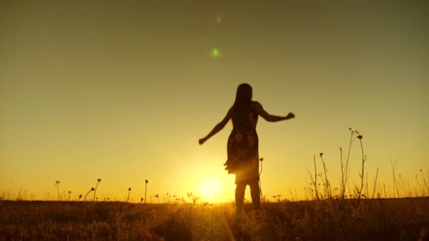 ευτυχισμένος κορίτσι με μακριά μαλλιά άλματα στο ηλιοβασίλεμα του golden sun. - Πλάνα, βίντεο