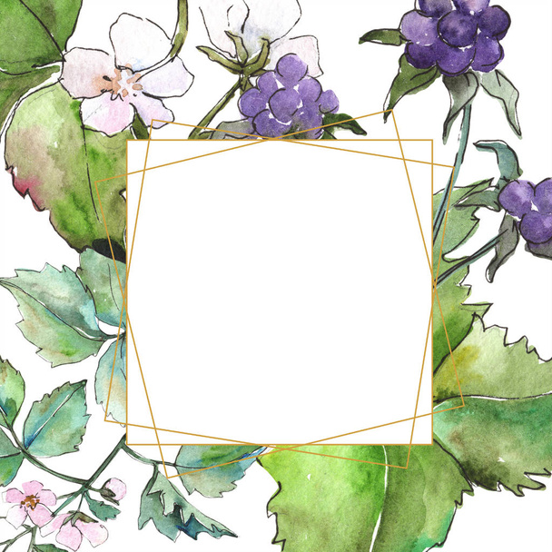 Aquarel paarse blackbarry plant. Floral botanische bloem. Frame grens ornament vierkant. Aquarelle wildflower voor achtergrond, textuur, wrapper patroon, frame of rand. - Foto, afbeelding